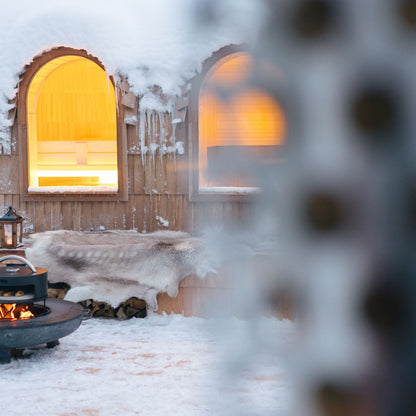 BonPizza Oven + Stone