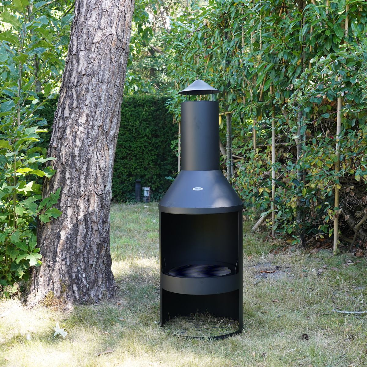 Larvik Fireplace