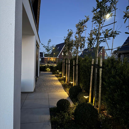 Solar Spike Light Guus