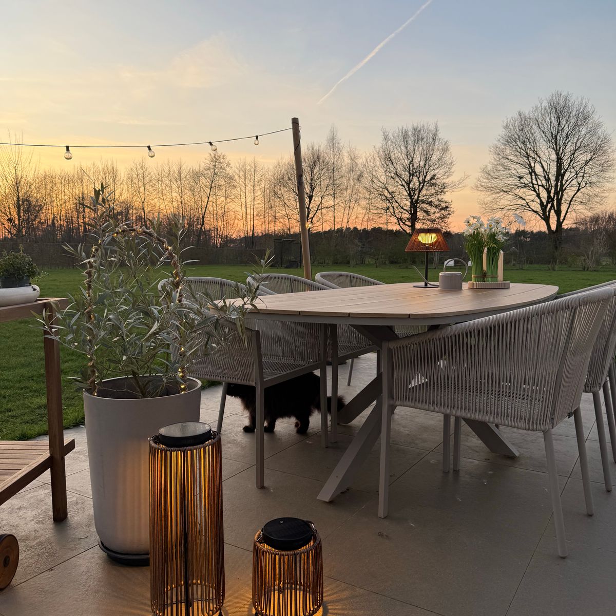 Solar Table Light MOOS